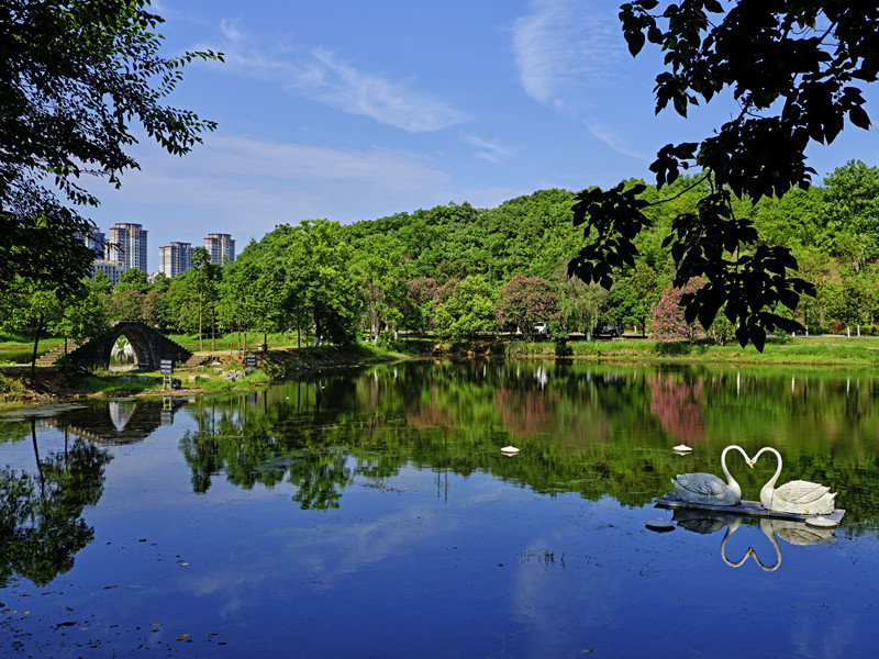 湖南工業大學(圖4)