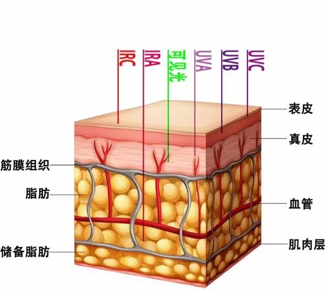 激光光生物安全和光生物安全介紹(圖2)
