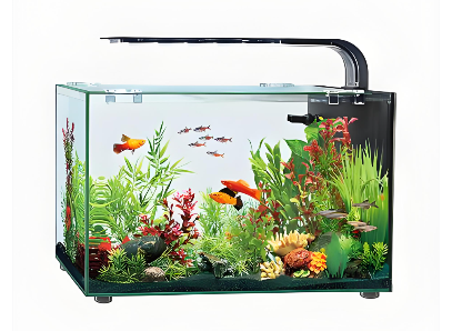 電控水族箱UL1018測試報告辦理指南(圖1)